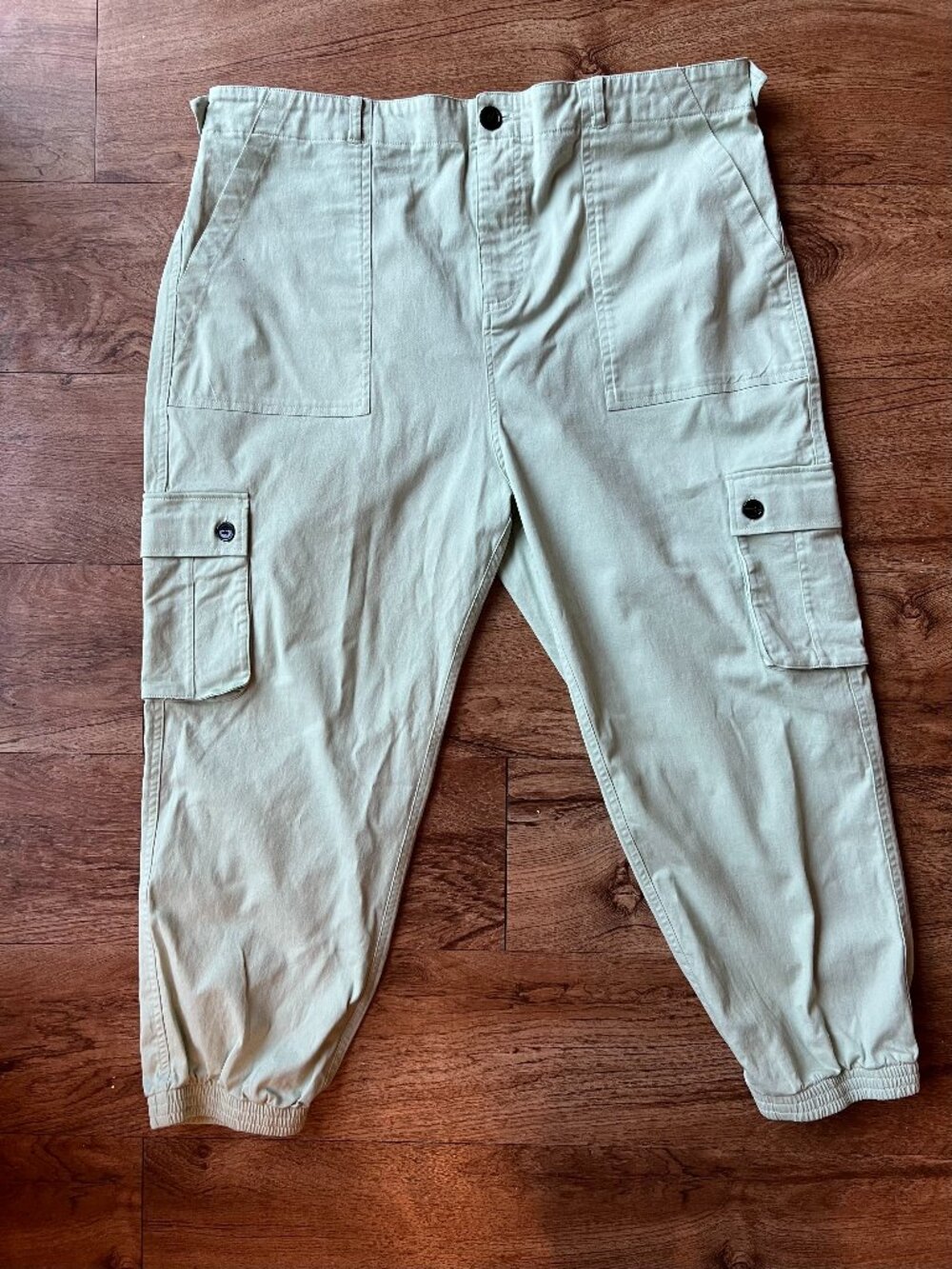 Wondery Outdoors Isabel 3.0 Pants Hiking Jogger Pants - 2XL Short